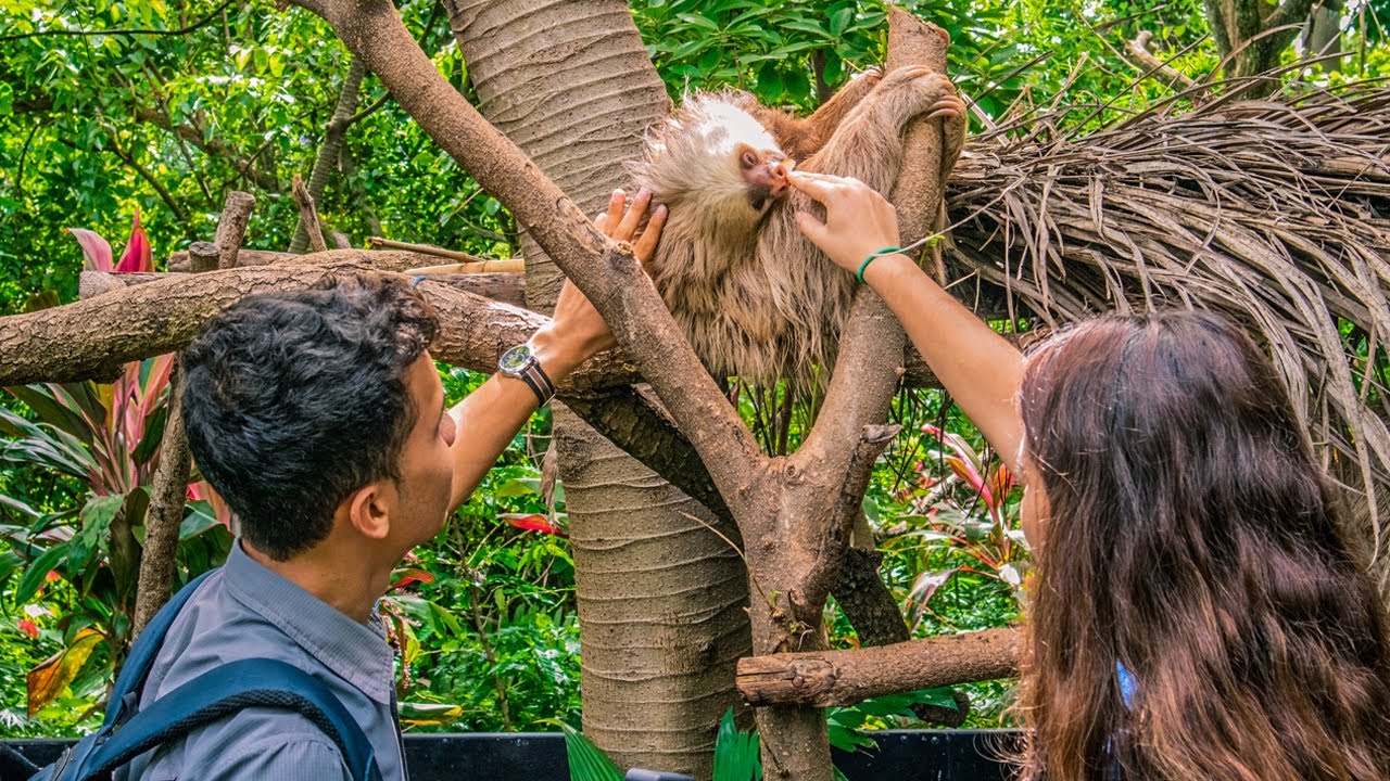 Refugio Animal Costa Rica: Respect for Animals