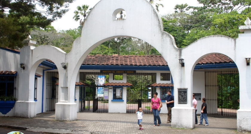 Le Costa Rica ferme les zoos publics et transfère les animaux dans des centres de secours, ce qui constitue une étape importante dans la conservation de la faune.