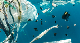 Iniciativas antiplástico en Costa Rica: regulación, investigación y campañas para reducir la contaminación plástica y proteger el ambiente.
