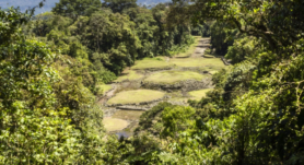 Descubre la importancia del Día Nacional de Parques Nacionales en Costa Rica, celebrando su biodiversidad y conservación ambiental.