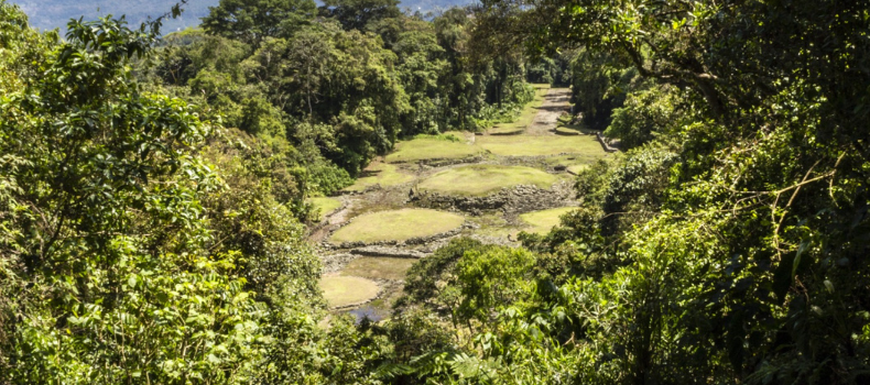 Descubre la importancia del Día Nacional de Parques Nacionales en Costa Rica, celebrando su biodiversidad y conservación ambiental.