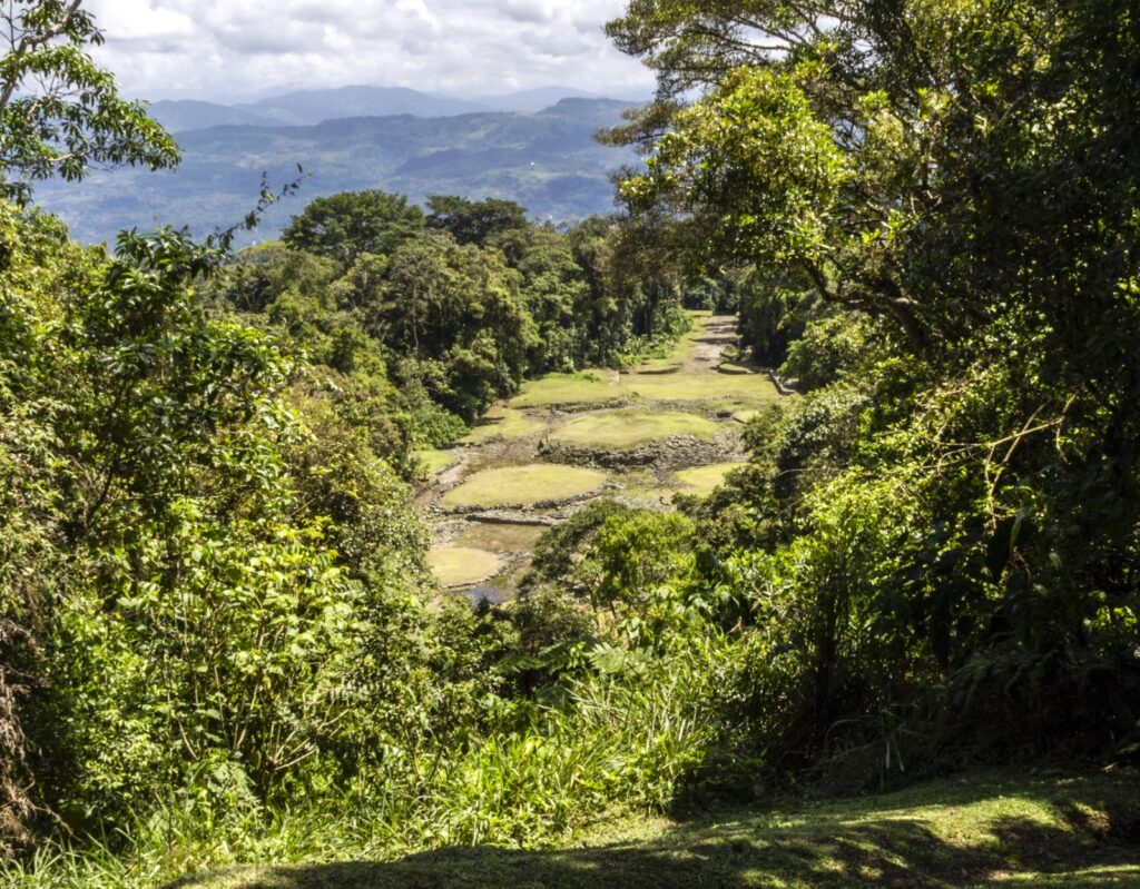 Descubre la importancia del Día Nacional de Parques Nacionales en Costa Rica, celebrando su biodiversidad y conservación ambiental.