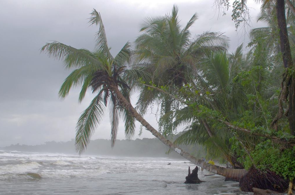 Gandoca / Manzanillo : Les obligations légales du Costa Rica dans le cadre de la Convention de Ramsar