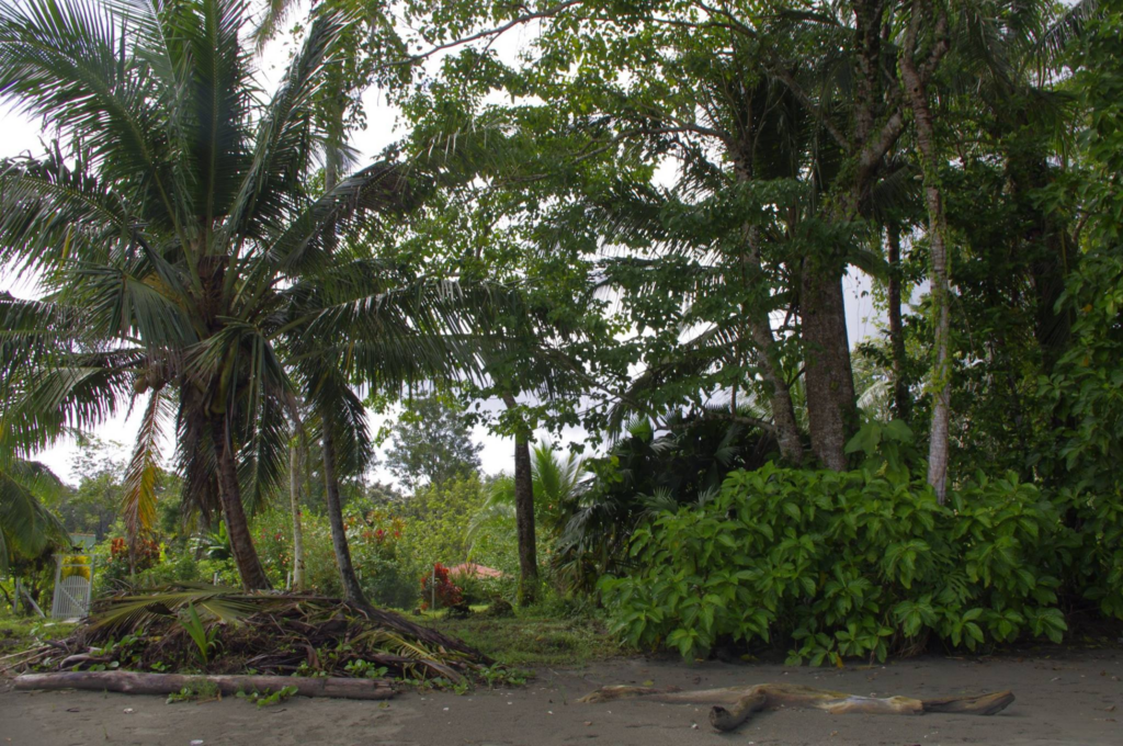 Gandoca / Manzanillo: las obligaciones jurídicas que implica la Convención Ramsar para Costa Rica