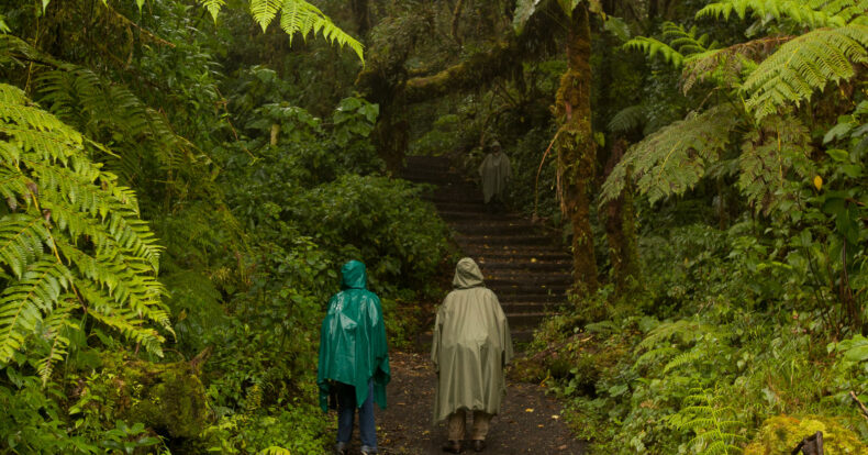 Explorando la Naturaleza