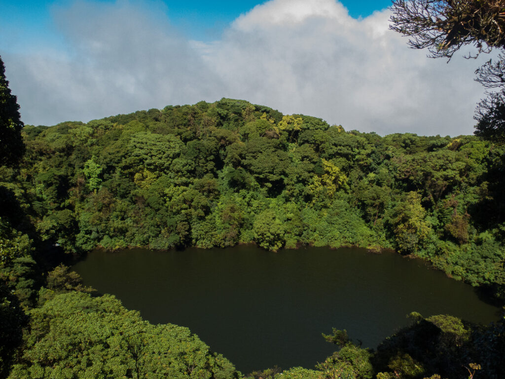 Explorando la Naturaleza