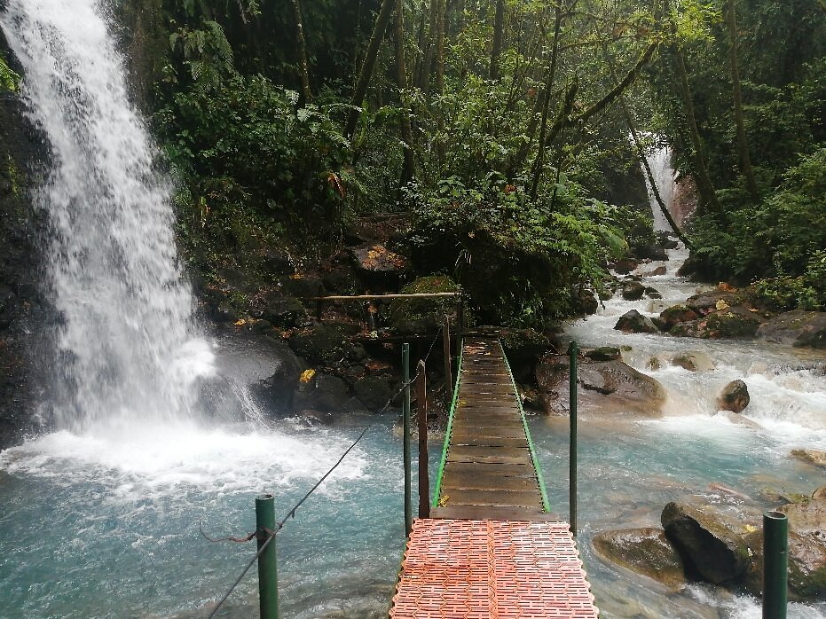 Explorando la Naturaleza