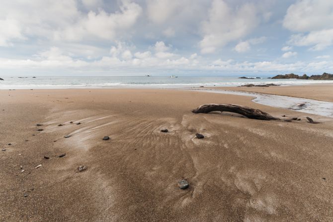 L'impact de l'écotourisme sur la biodiversité