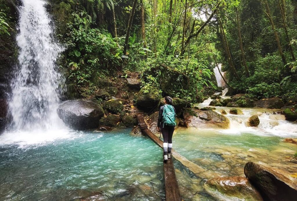 Explorando la Naturaleza