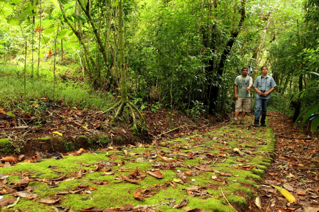 Explorando la Naturaleza