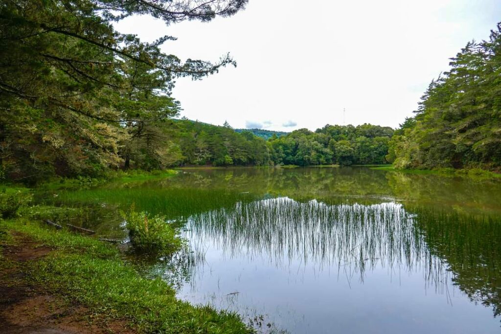 Explorando la Naturaleza