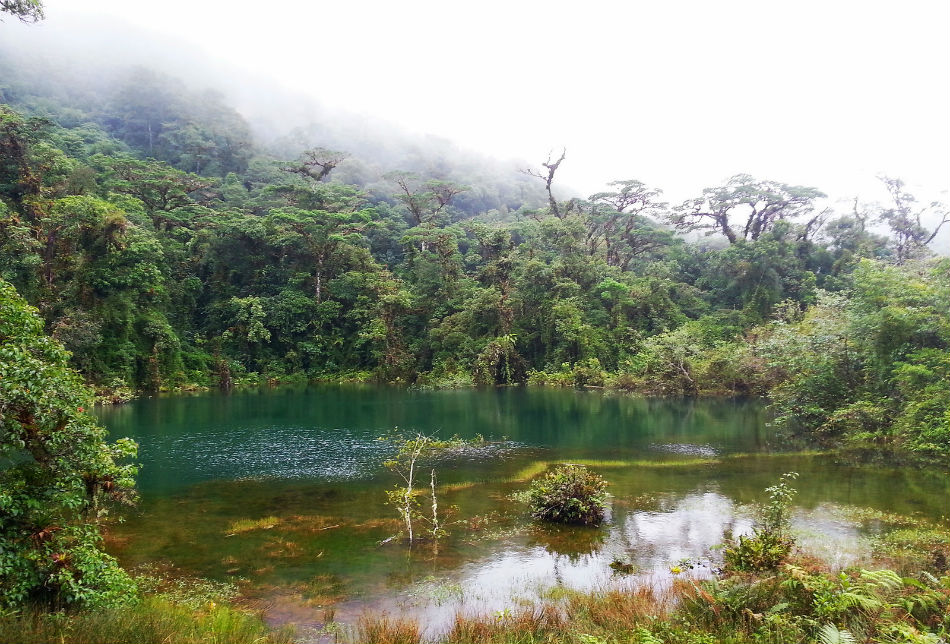 Explorando la Naturaleza