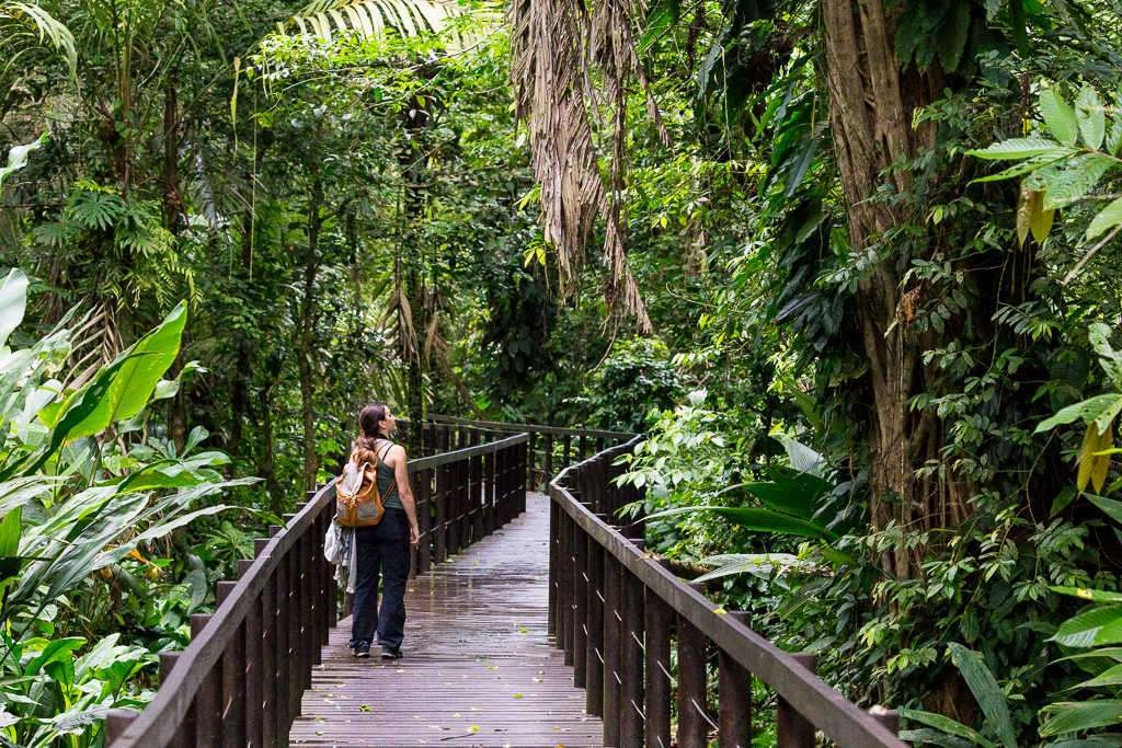 Voyager au Costa Rica en janvier