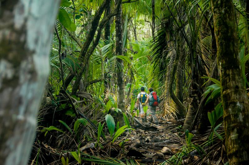 Voyager au Costa Rica en janvier