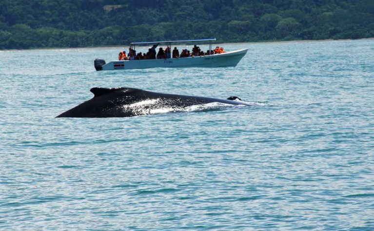 Voyager au Costa Rica en janvier